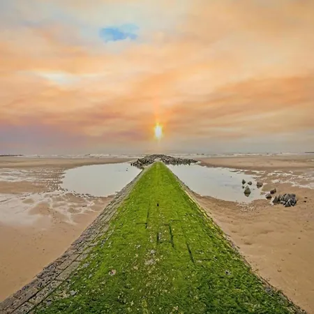 Beachfront Bliss With Parking *